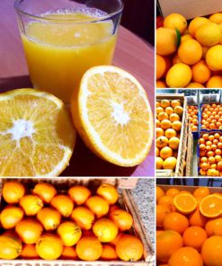 Alternative view of Bins de Mandarinas. Calibre Mixto. 400K