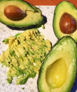 PALTA HASS  | CALIBRE 26 Pre madura
