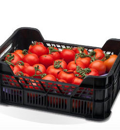 Alternative view of Tomates Limachino, 5 Kilos.