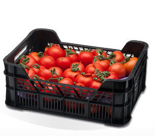 Tomates Limachino, 5 Kilos. - Imagen 2