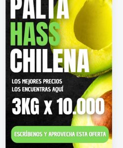 OFERTA 3 KG DE PALTA HASS CHILENA POR $10.000