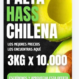 OFERTA 3 KG DE PALTA HASS CHILENA POR $10.000