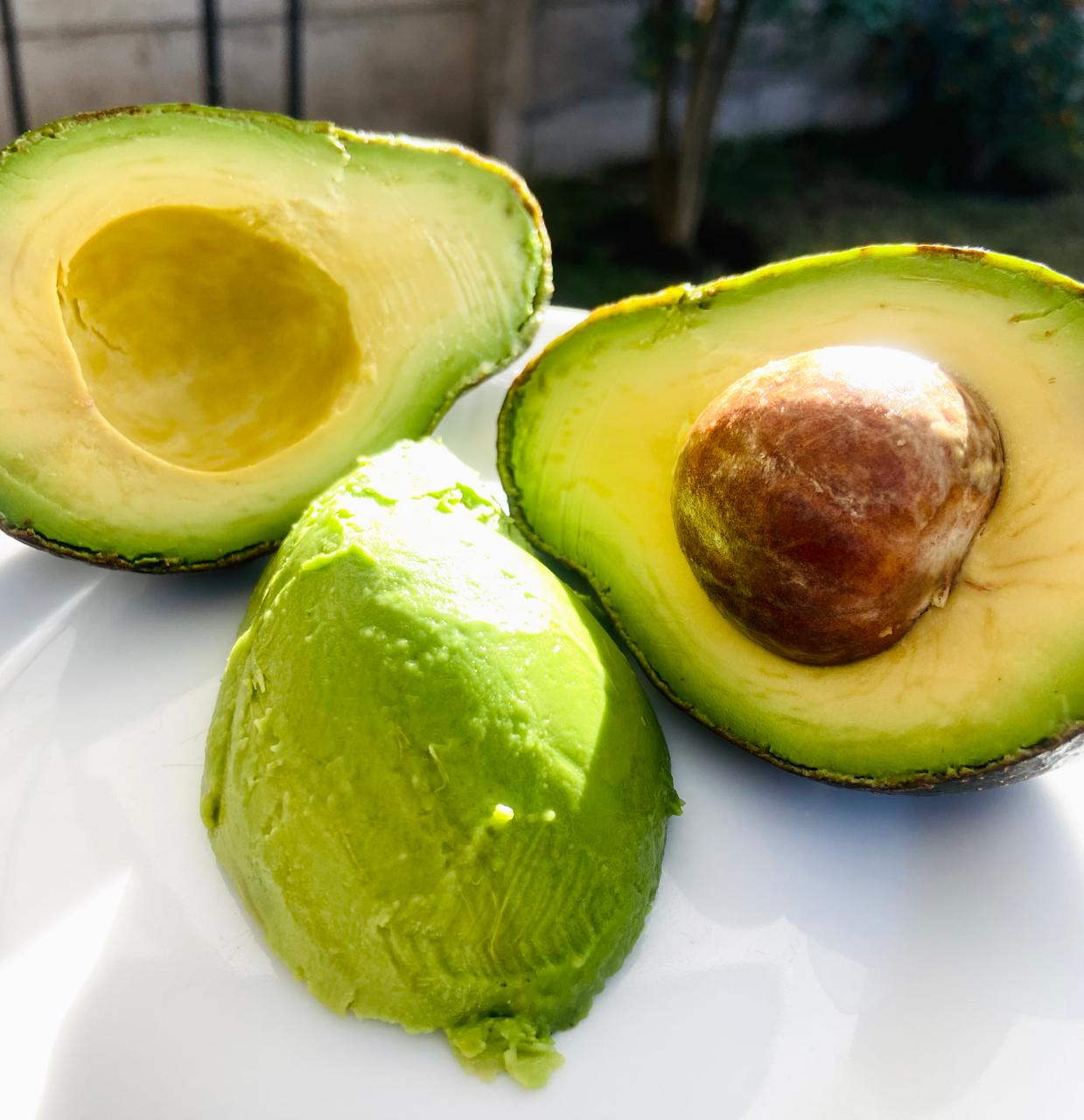 PALTA HASS OFERTA. Mixtas 10 kilos (Maduras y premaduras) Peso cada palta 200 Gr.