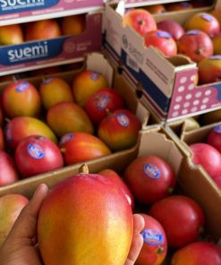MANGO CAJA DE 5 KILOS | (8 a 12 Unidades)