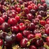 Cerezas Frescas por Kilo. $ 1.500