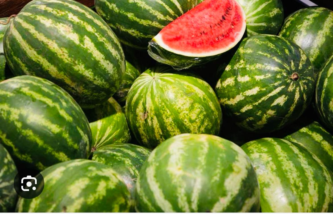 Sandias de Paine. por Unid. $2.000 C.U